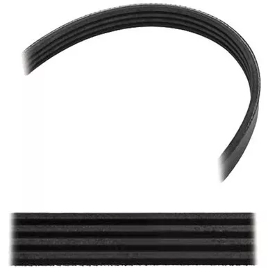 Poly- V Ribbed Serpentine Belt 32.40 Inch - 4040320
